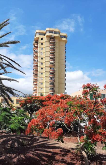 Estudio Coqueto Torres Del Sol 阿罗纳 外观 照片